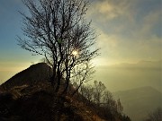 58 Scendo nella luce e nei caldi colori del tardo pomeriggio